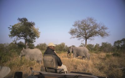 Het verschil tussen een private game reserve en national park in Zuid-Afrika