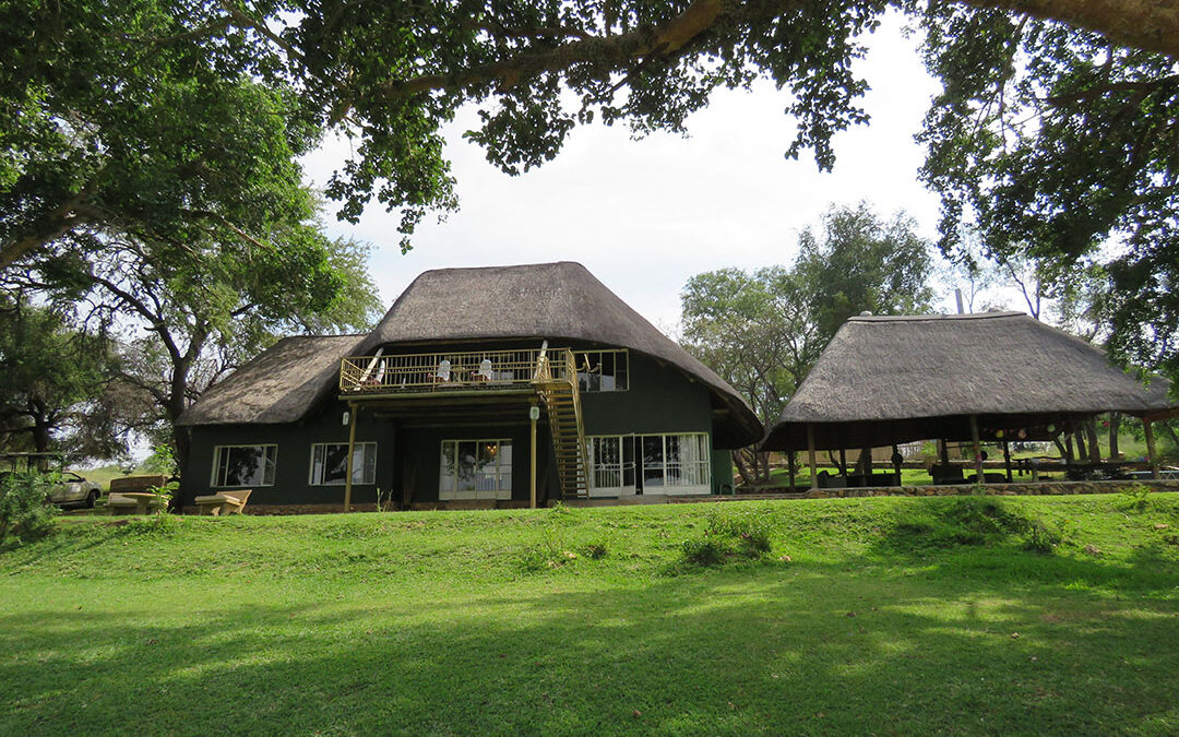Mijn ervaring in Maninghi Lodge in Balule Game Reserve