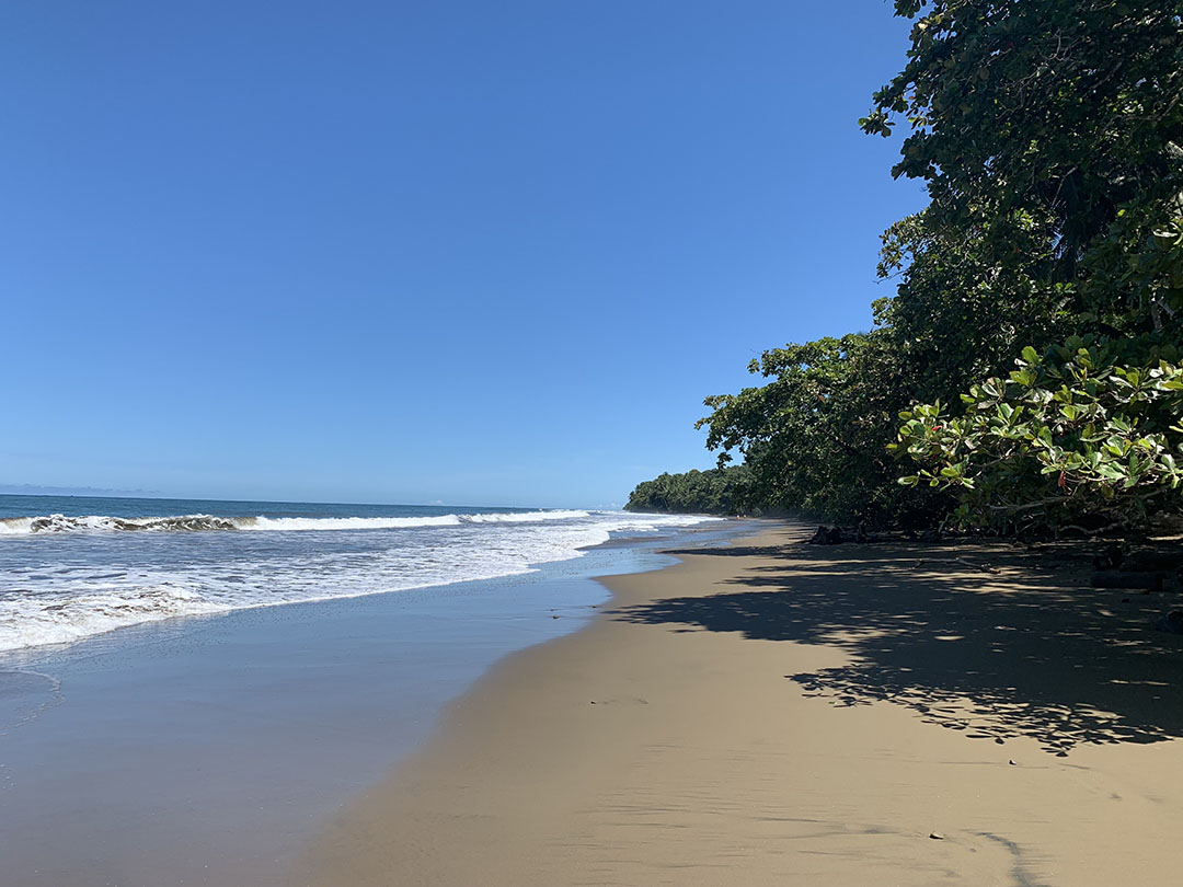 Praktische tips om je reis naar Costa Rica voor te bereiden