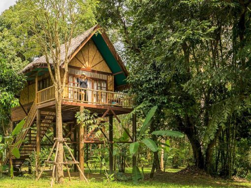 Khao Sok – Our Jungle Camp Eco Resort