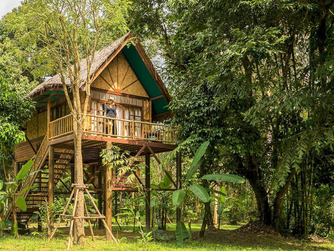 Our Jungle Camp Eco Resort Khao Sok Thailand