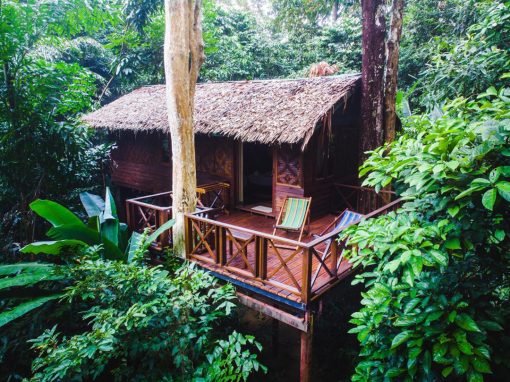 Khao Sok – Our Jungle House
