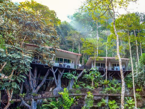 Khao Sok – Rock and Tree House resort